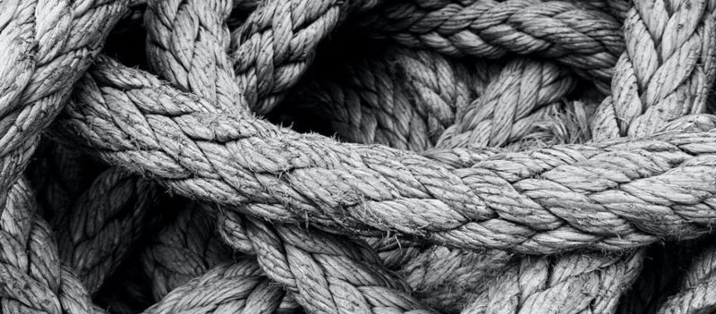 Adeki Performance Management image