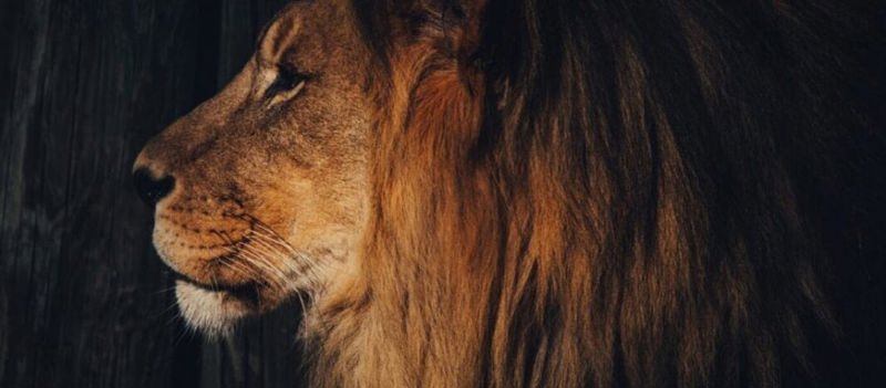 Adeki Performance Management image