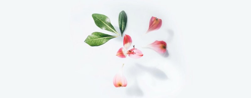 Armstrong Craven image