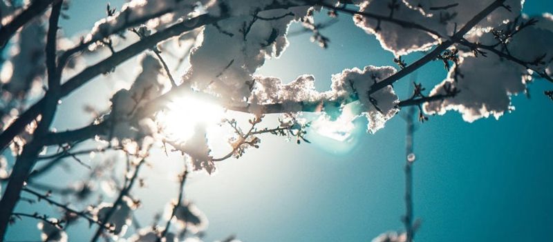 Adeki Performance Management image