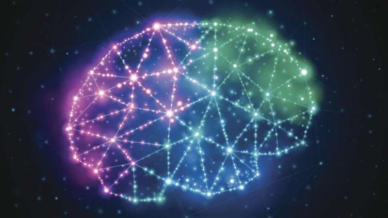 The Training Zone image