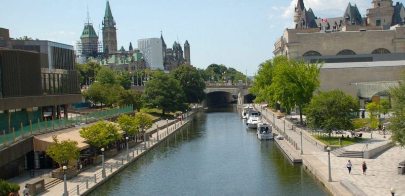 The Undercover Recruiter image