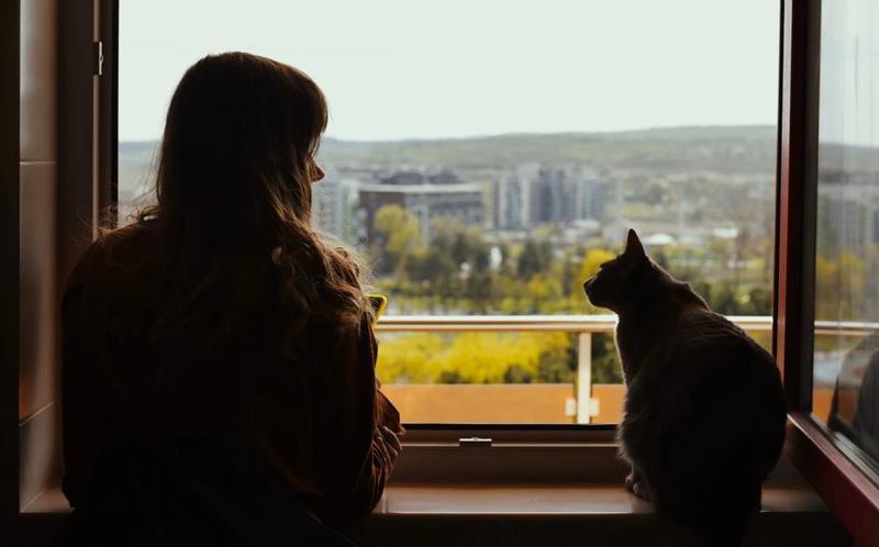 Pearson Workforce Skills image