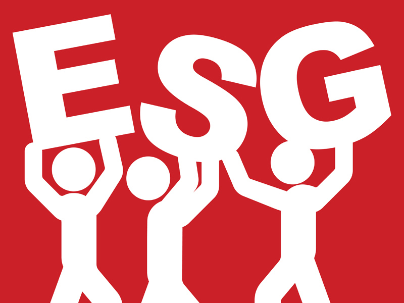 Daggerwing Group image