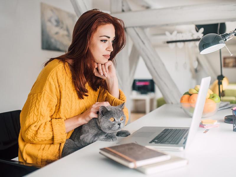 Bupa Health Services image