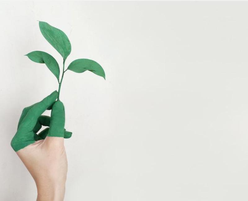 Armstrong Craven image