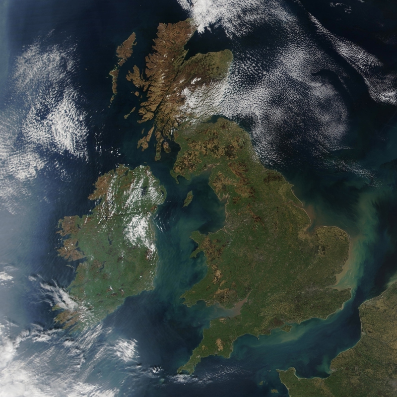 Workplace Insight image