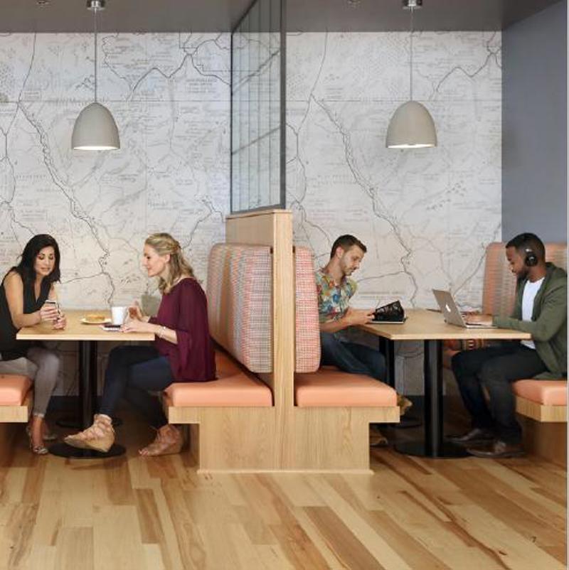 Workplace Insight image