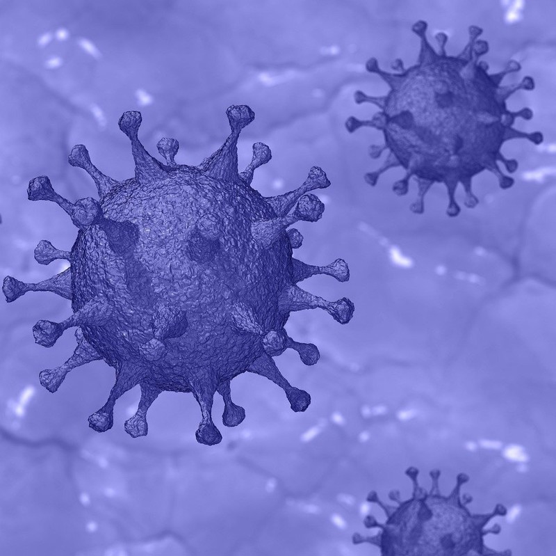 Workplace Insight image