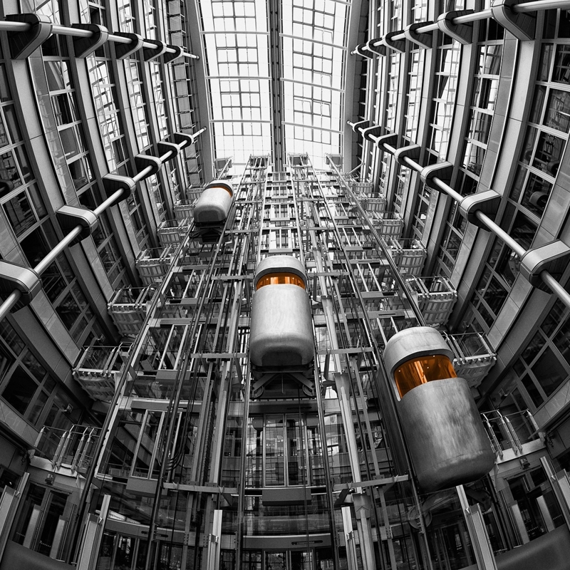 Workplace Insight image