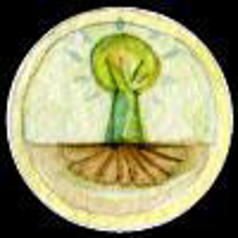 Stephen Downes image