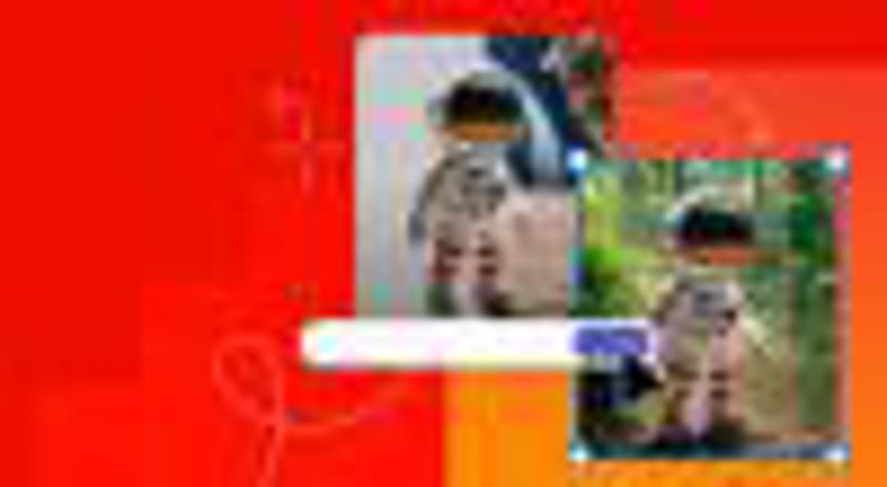 Stephen Downes image