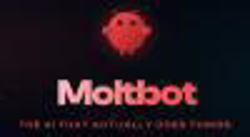 Stephen Downes image