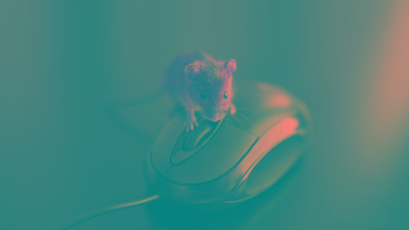 Personnel Today image