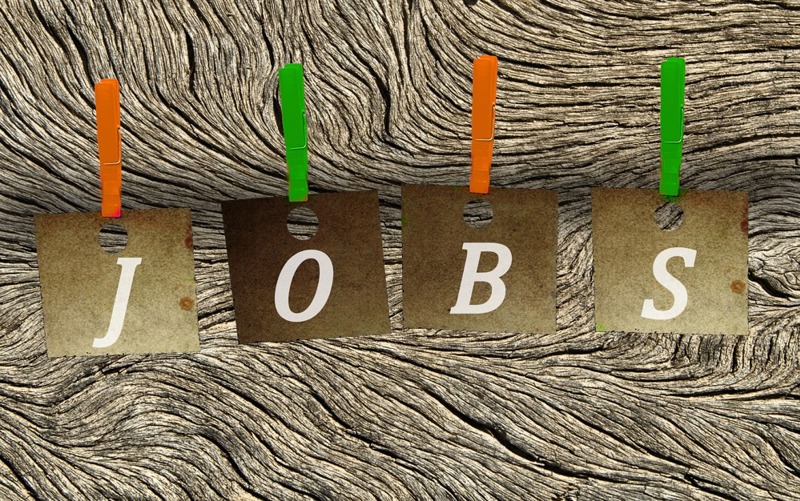 The HR Director image