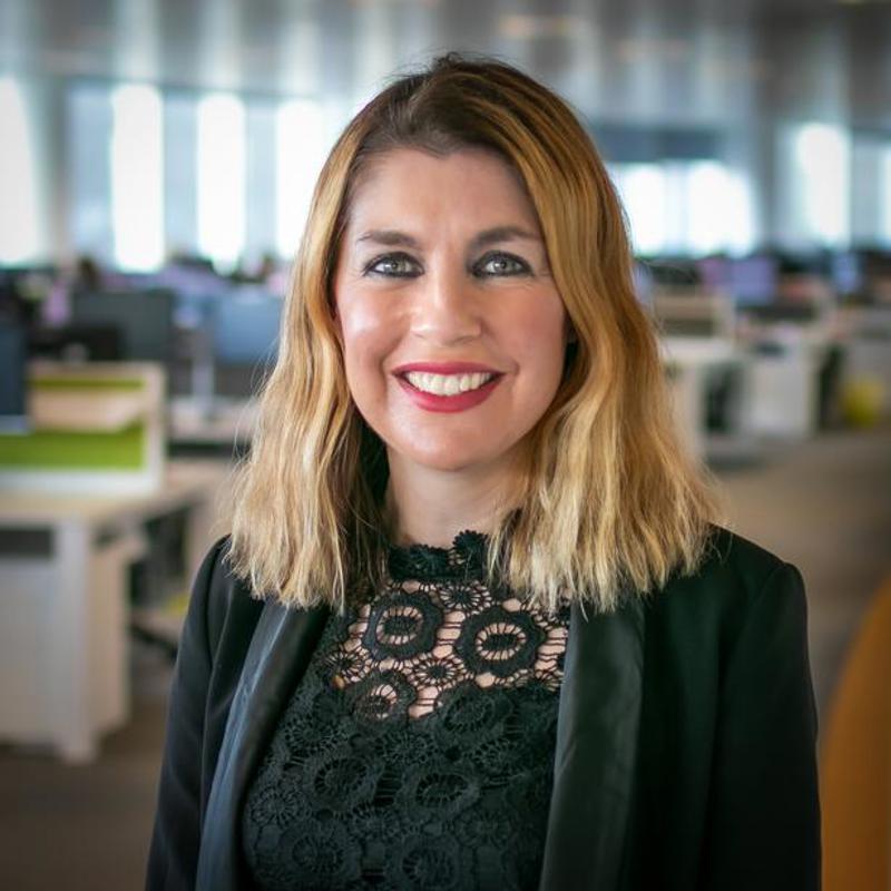 The HR Director image