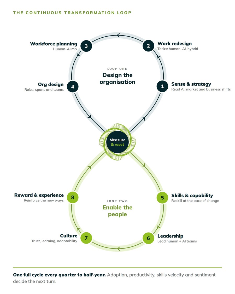 The continuous transformation loop. Loop one, design the organisation: sense and strategy, work redesign, workforce planning, org design. Loop two, enable the people: skills and capability, leadership, culture, reward and experience. Both loops pass through a measure and reset checkpoint, with one full cycle every quarter to half-year.